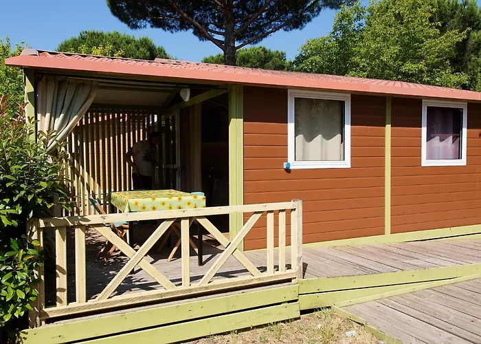 Hotel vicino al College: Camping Versilia Mare